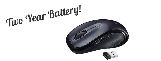 mouse